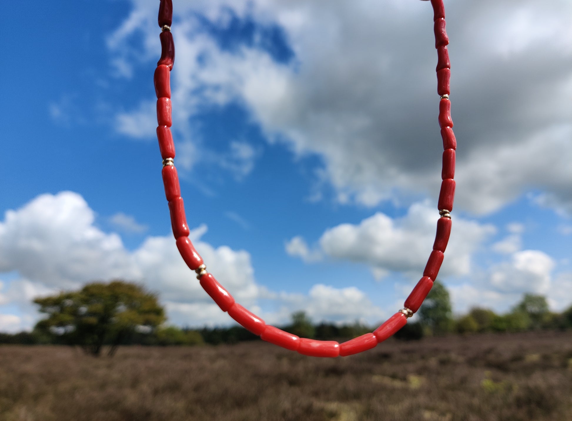 EBB Jewellery 14K solid gold Natural Red Coral Tube Choker Necklace, Mode Shot