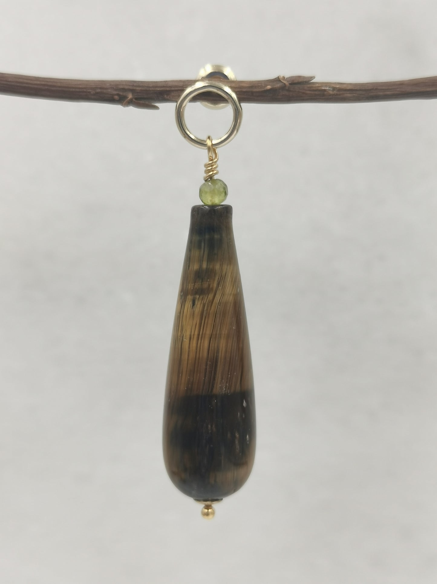 EBB Printemps Tiger's Eye Drop Circle Earrings