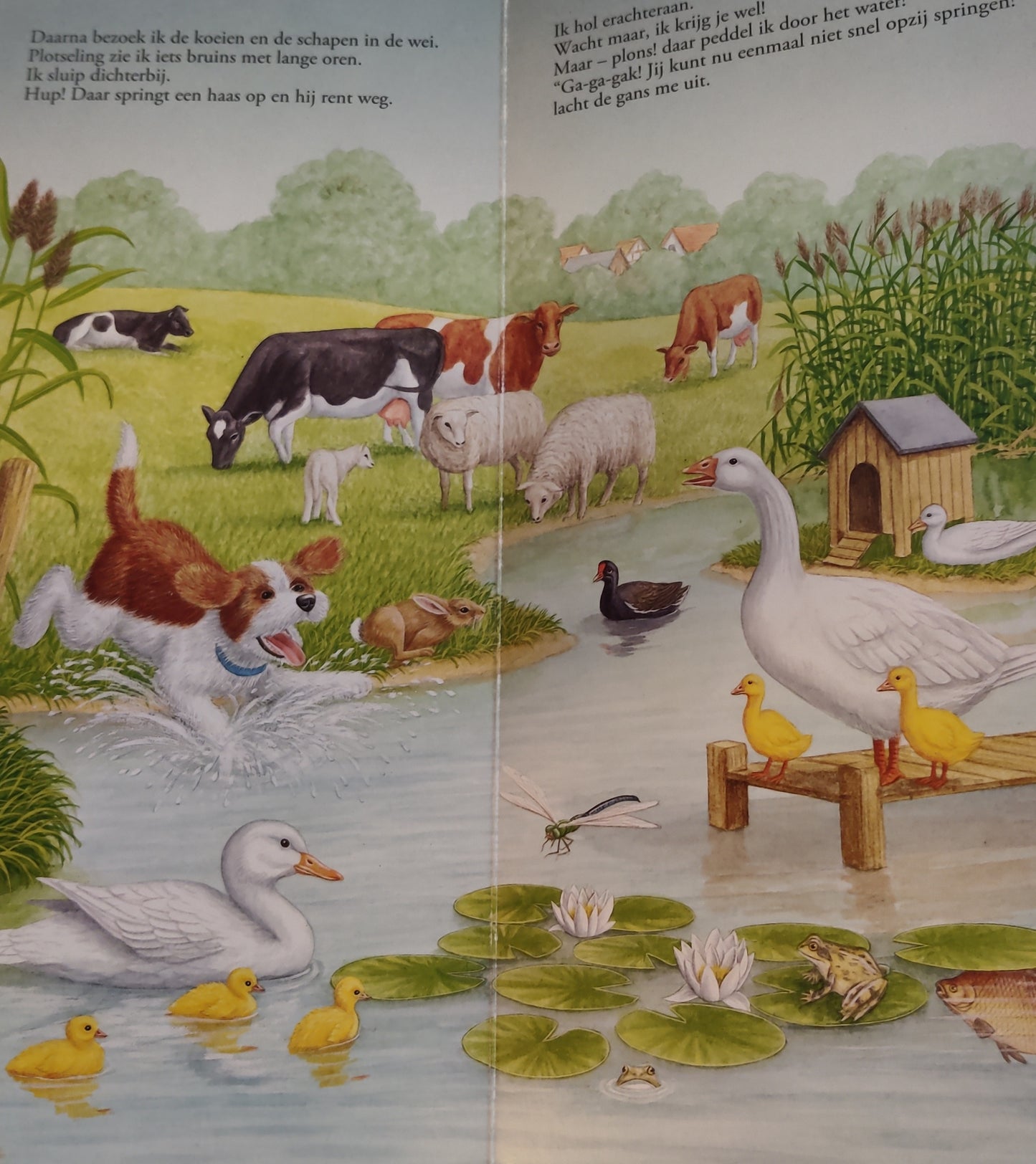 Het kleine hondje - Bob Bampton Hardcover