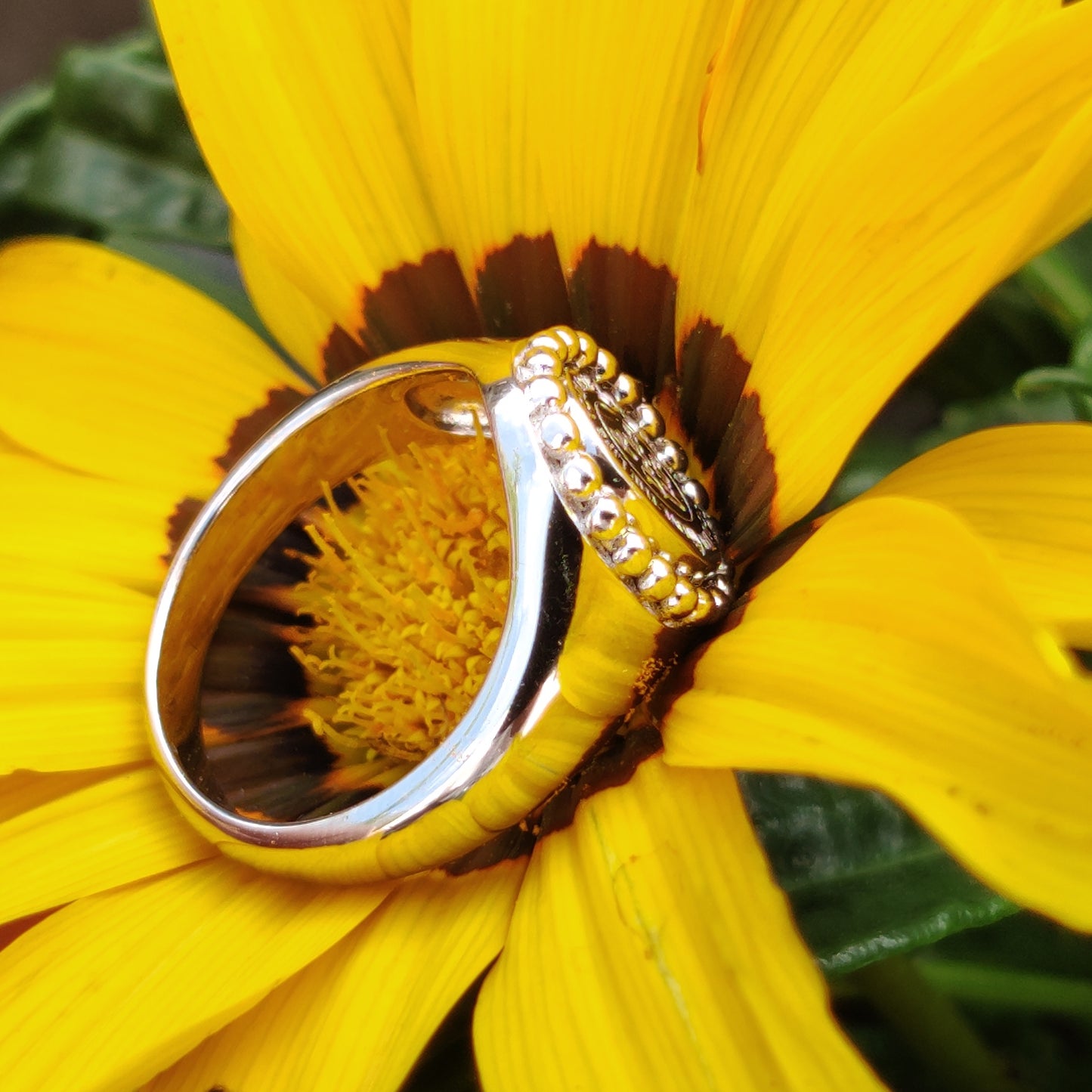 925 Sterling Silver Signet Ring