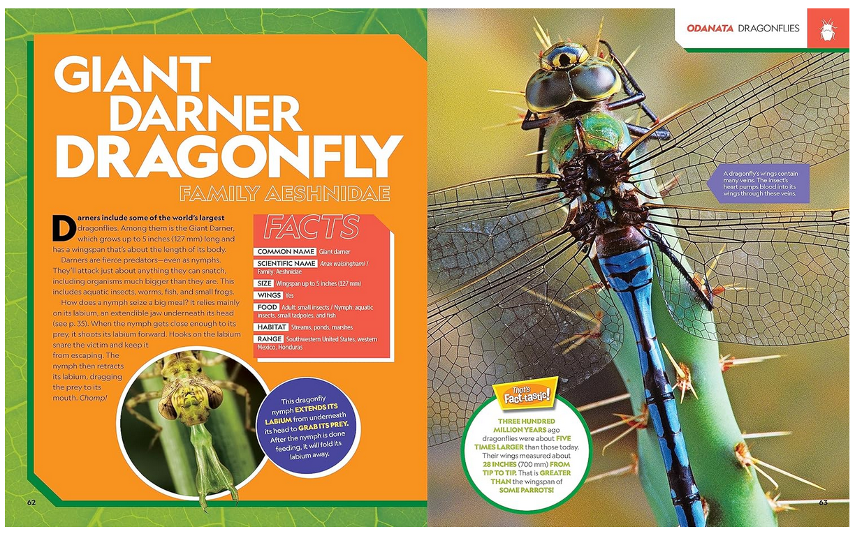 National Geographic Kids Ultimate Bugopedia Second Edition: The Most Complete Bug Reference Ever NEW
