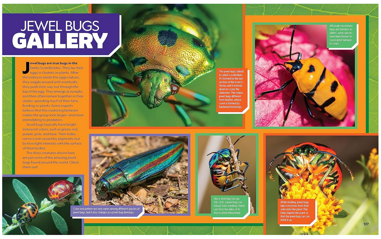 National Geographic Kids Ultimate Bugopedia Second Edition: The Most Complete Bug Reference Ever NEW