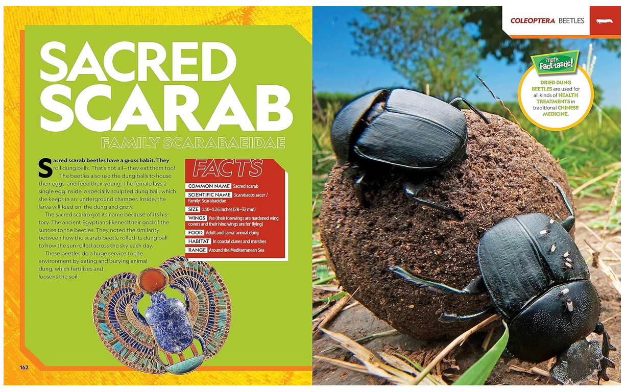 National Geographic Kids Ultimate Bugopedia Second Edition: The Most Complete Bug Reference Ever NEW