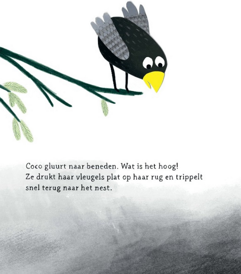 Bestseller Coco Kan het Hardcover, Story Page Shot