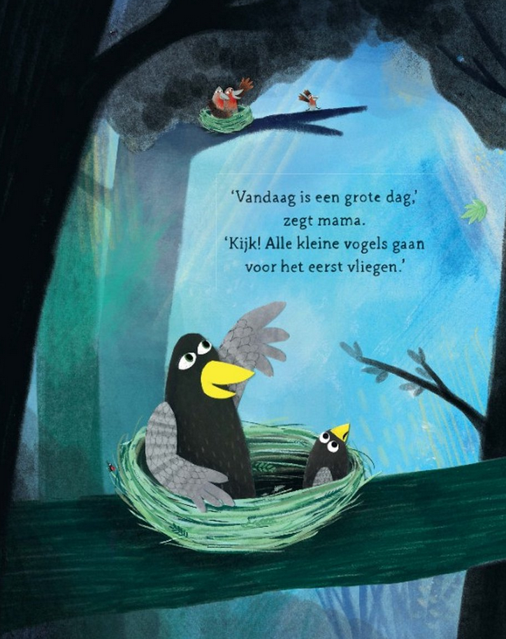 Bestseller Coco Kan het Hardcover, Story Page Shot