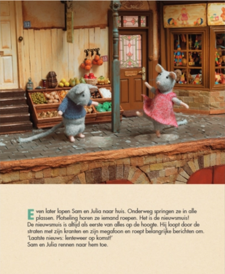 Het Muizenhuis De Picknick - Sam en Julia Hardcover
