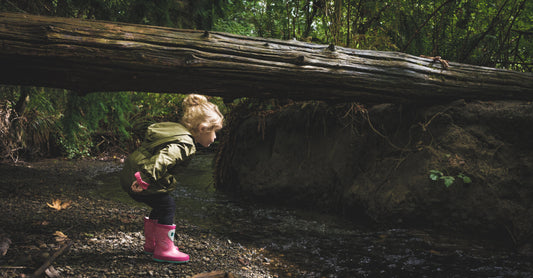 Monsters with a Heart: 6 Best-Selling Books that Make Monsters Adorable and Brave!