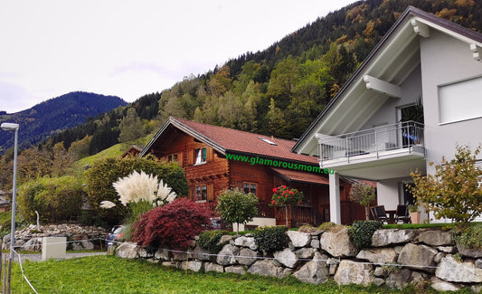 The Art of Swiss Cheese Fondue ('Kaasfondue'): A Culinary Journey Through History and Tradition