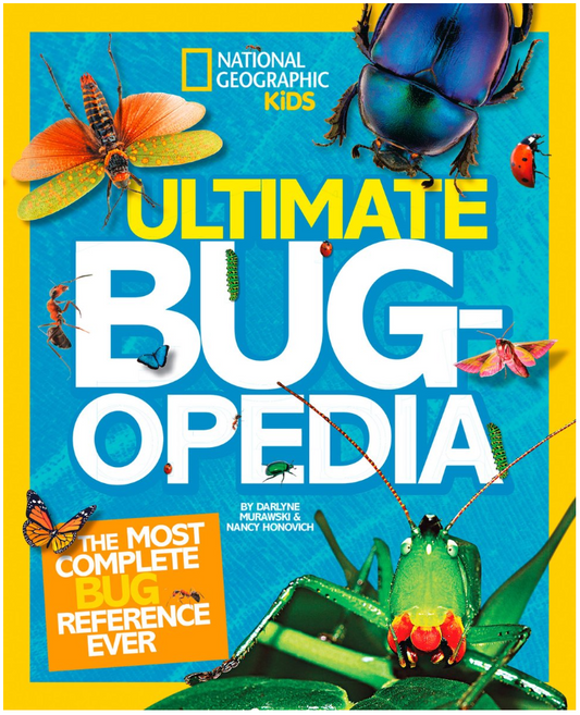 Overturn the Fear of Bugs: Top 11 Insect Books for Kids to Nurture Love for Nature