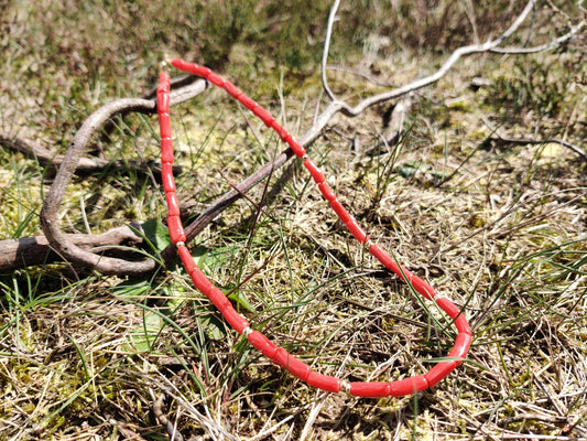 EBB Jewellery 14K solid gold Natural Red Coral Tube Choker Necklace, Front View