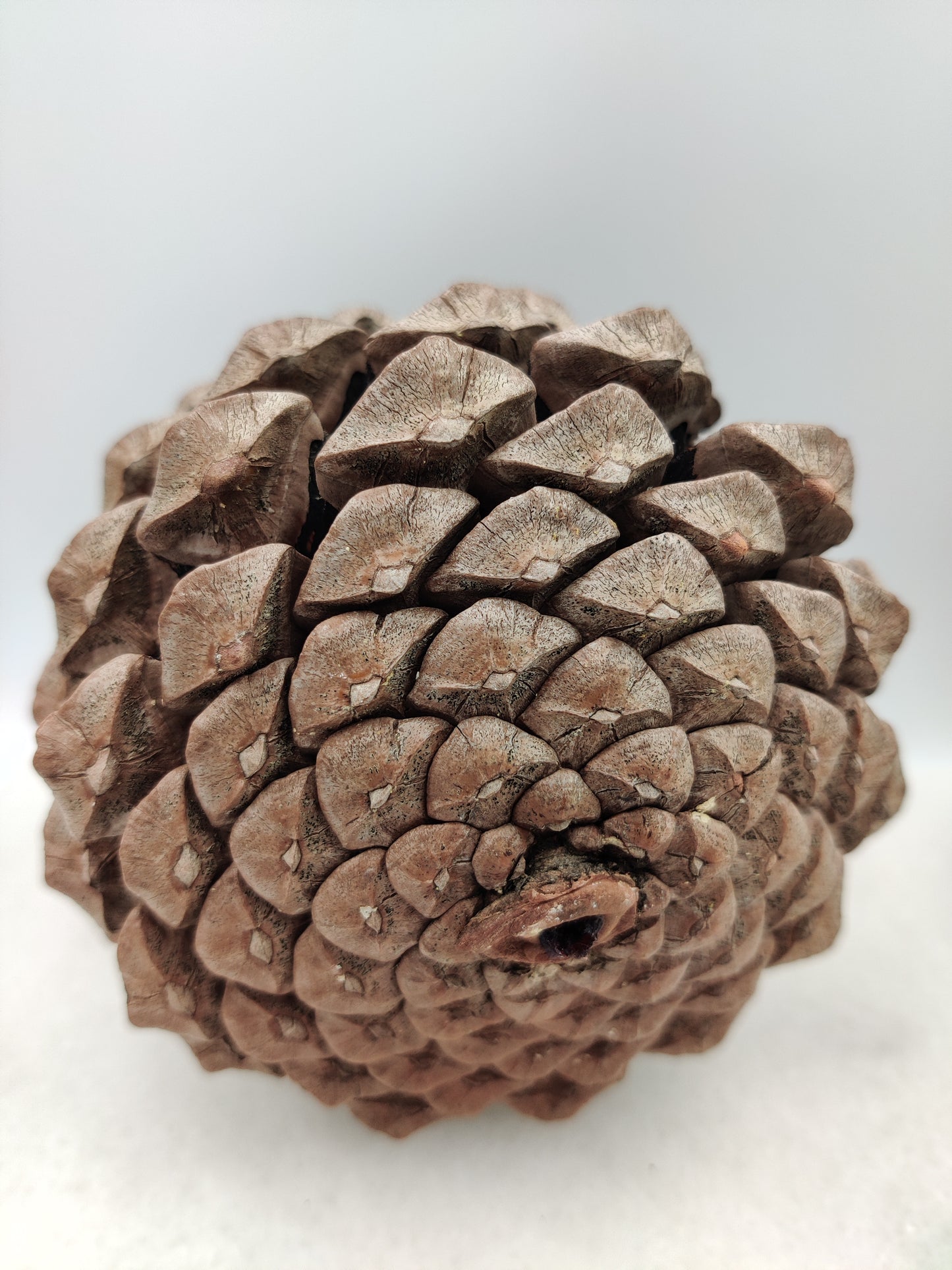 Christmas Ornament Collection - Pinecone Ornament