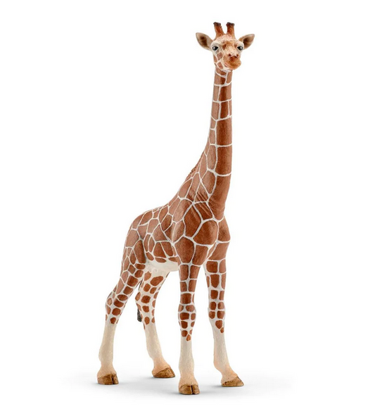 Schleich Giraffe Female Safari Animals